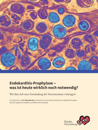 Endokarditis-Prophylaxe-Warenkorb