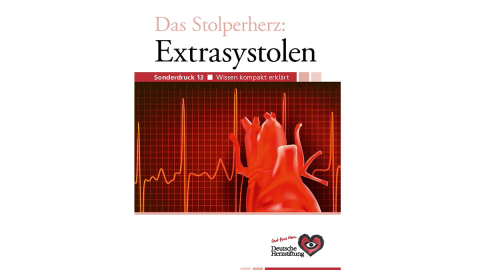 Titelbild_Das_Stolperherz